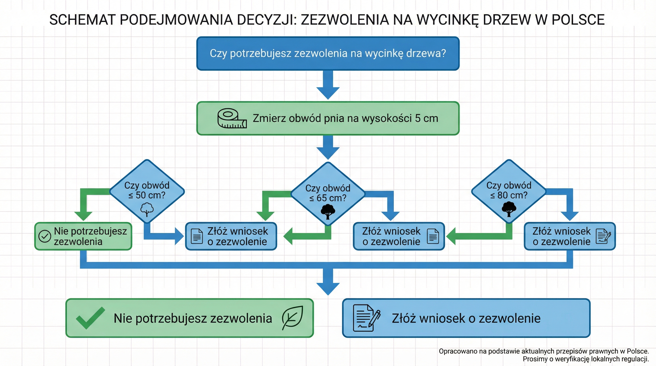 decyzyjny-proces-wycinki-drzew-infografika.png