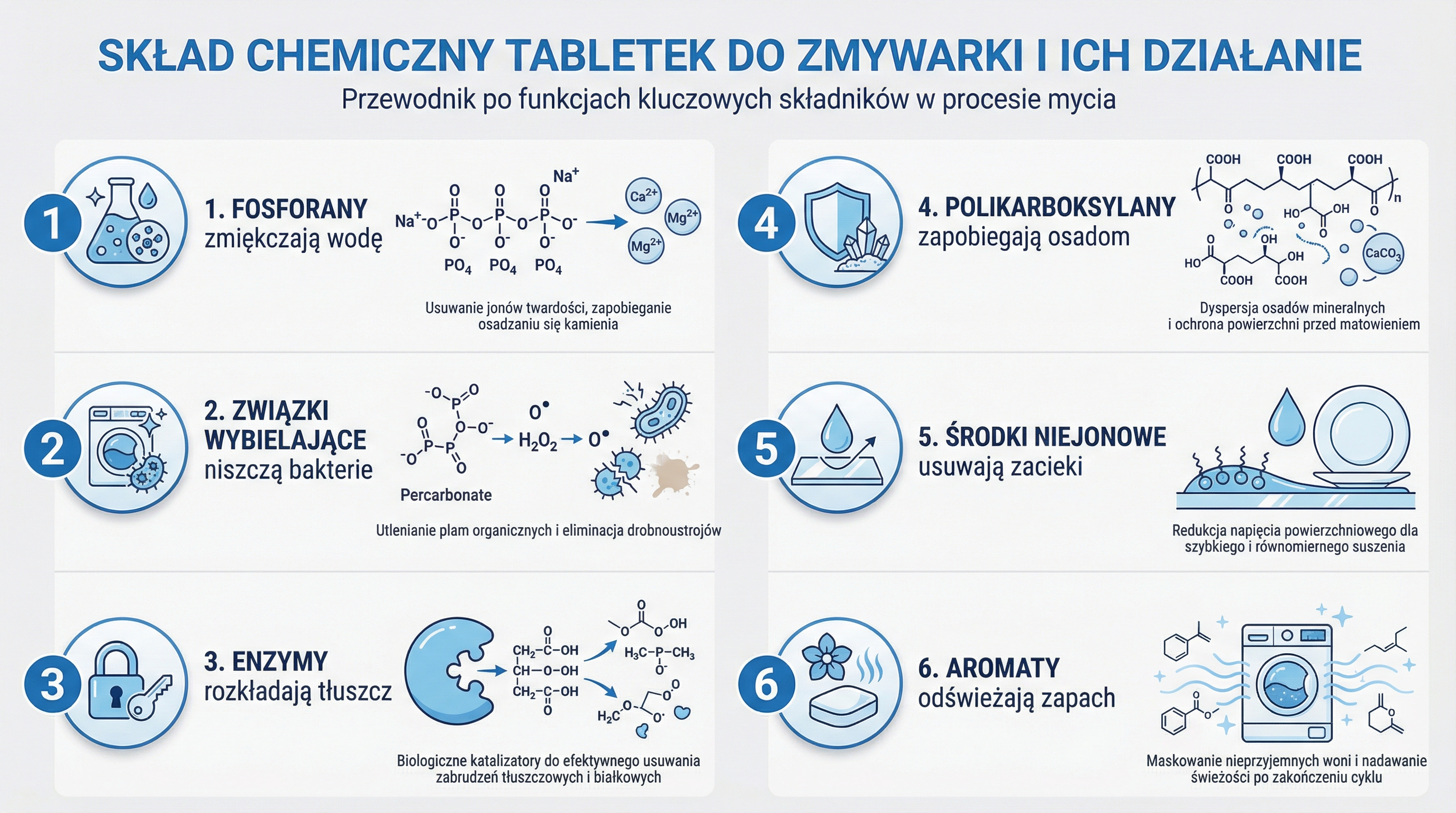 sklad-tabletek-do-zmywarki-infografika.png