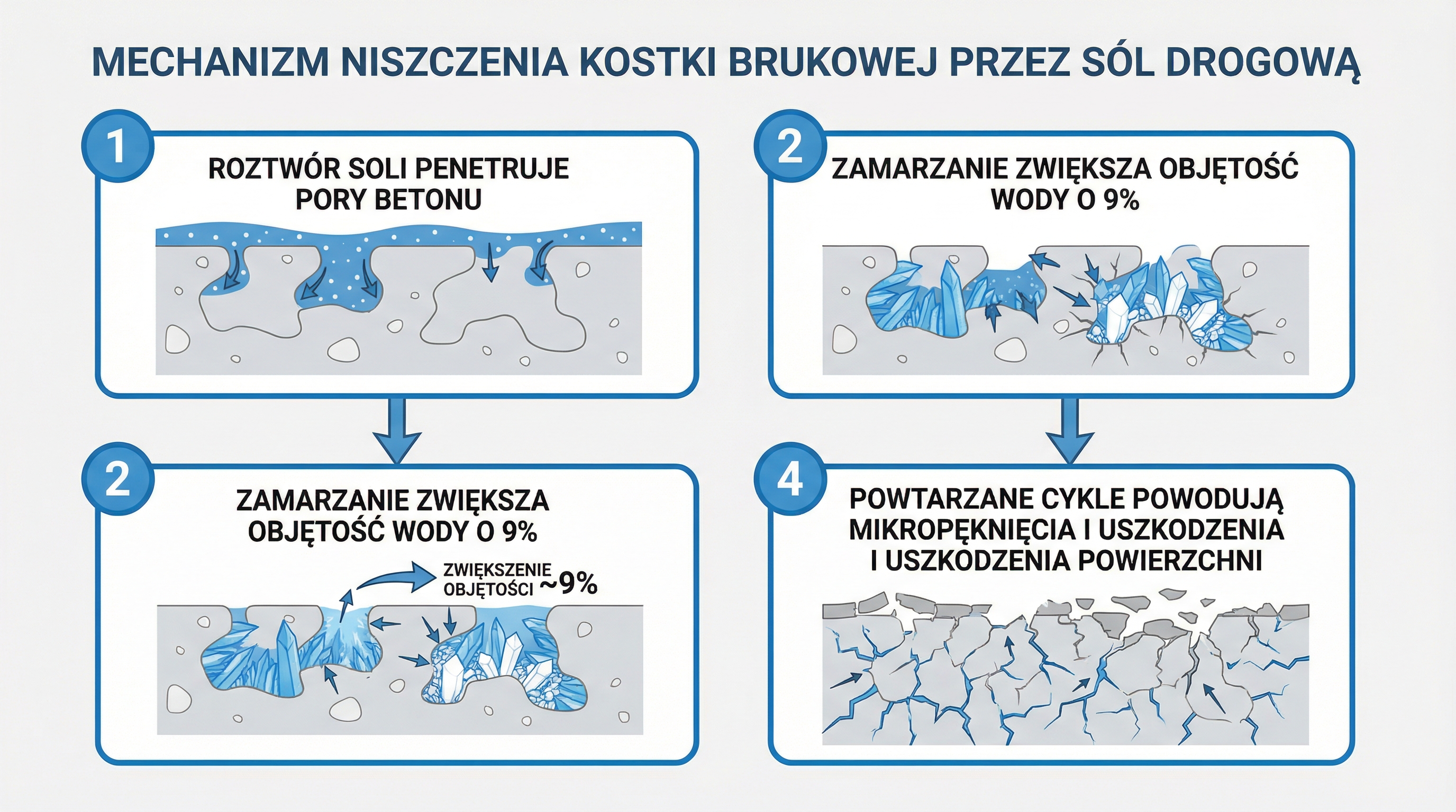 mechanizm-niszczenia-kostki-przez-sol-infografika.png