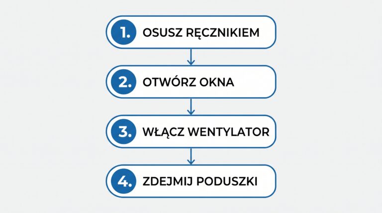 kroki suszenia kanapy infografika jpg